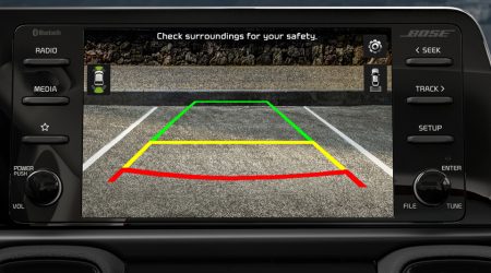 Rear View Monitor (RVM)